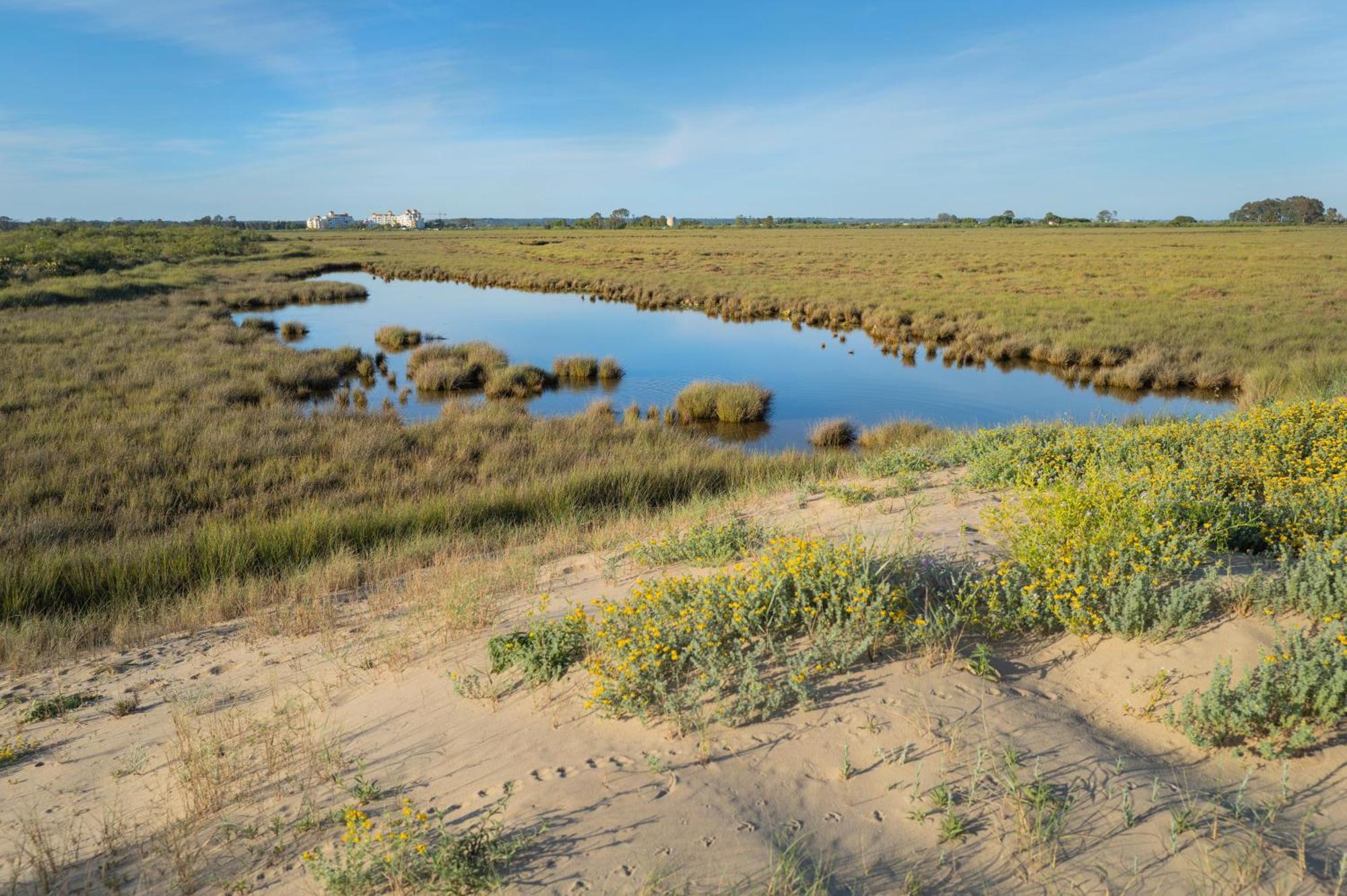 Apartamento - Atico Isla Canela Ayamonte Esterno foto